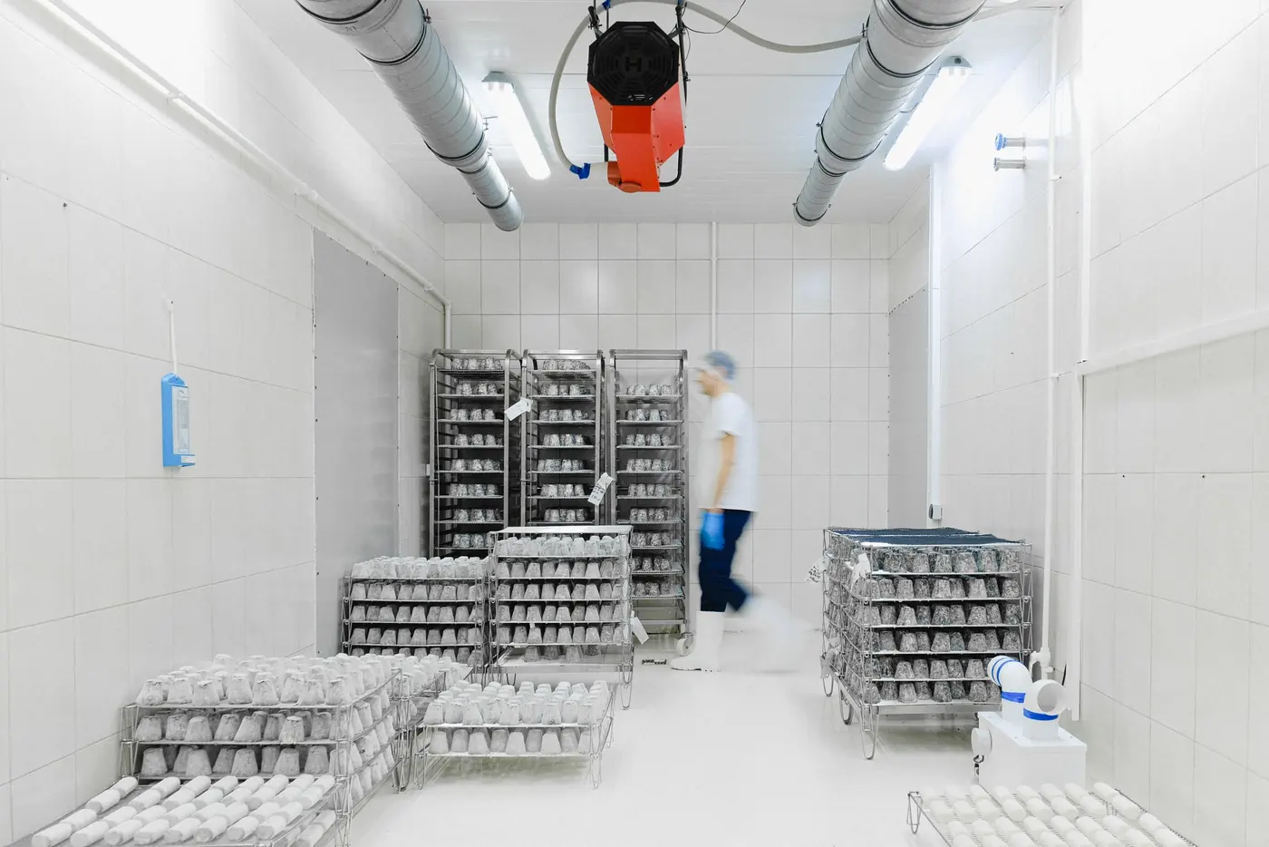 Câmara fria com prateleiras de produtos e operador