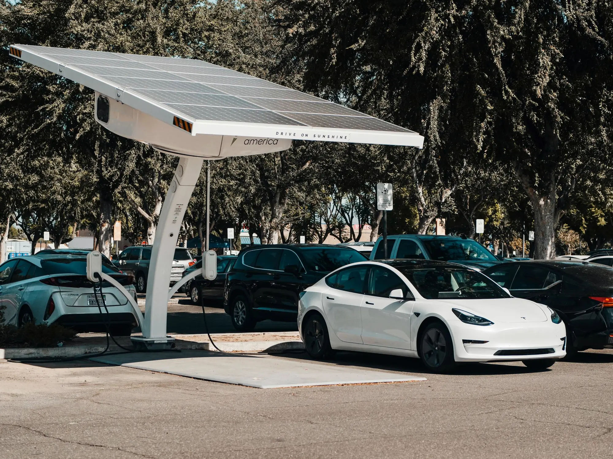Carros elétricos em vagas cobertas por placas solares